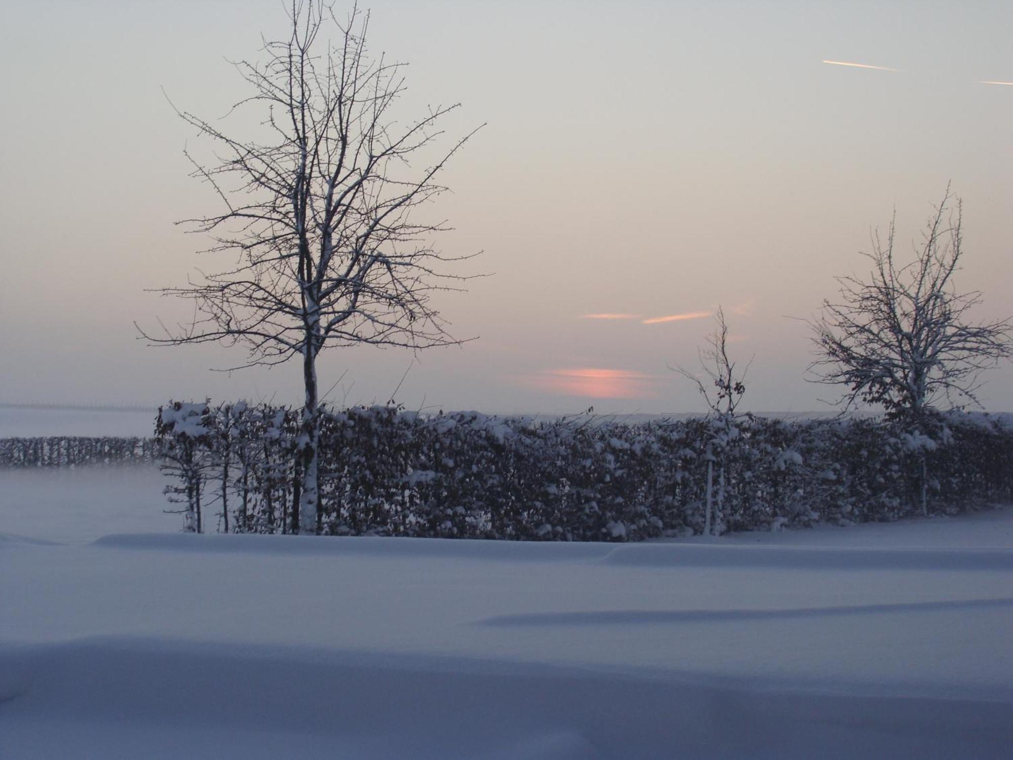 Hoeve De Binnenplaets Appartement *